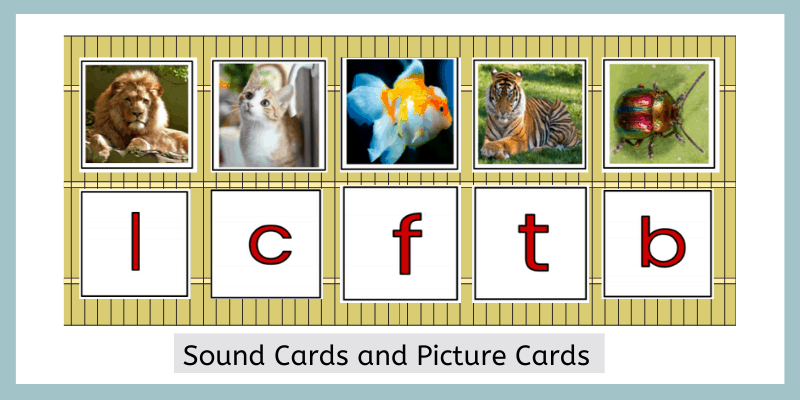 Preschool phonics sound cards and beginning sound picture cards