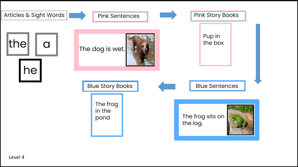 Illustrated guide to Montessori Phonetic reading, stage 4, reading phonetic sentences, and story books