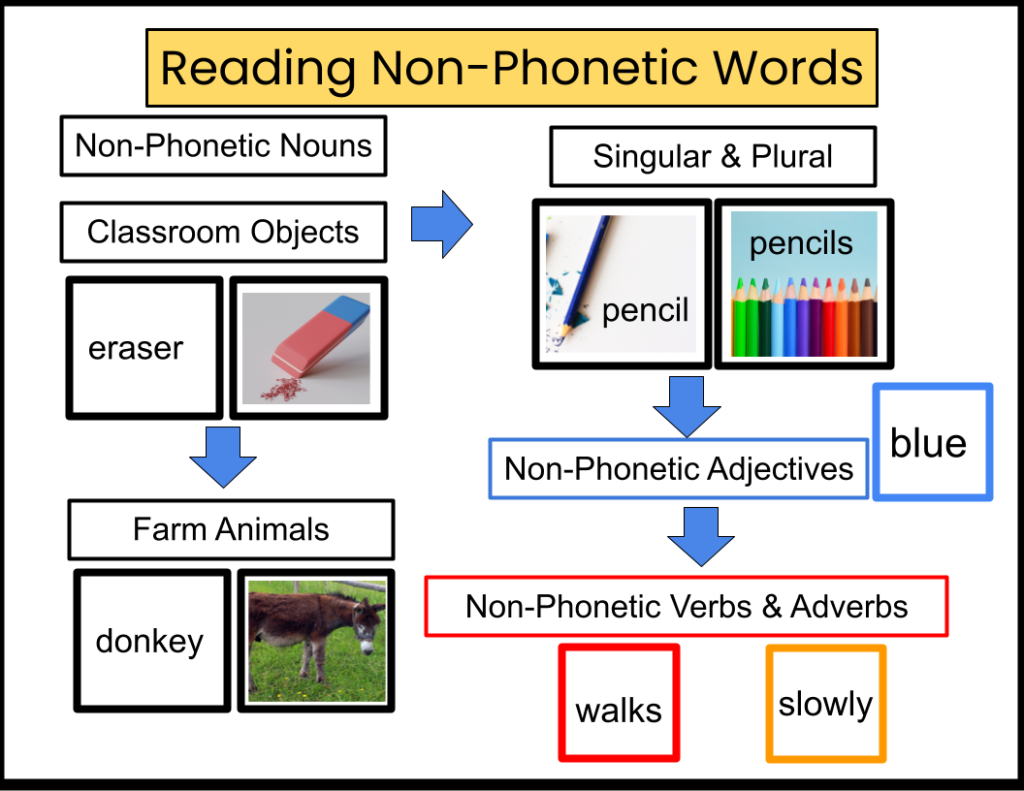 Reading non-phonetic nouns, adjectives, verbs and adverbs