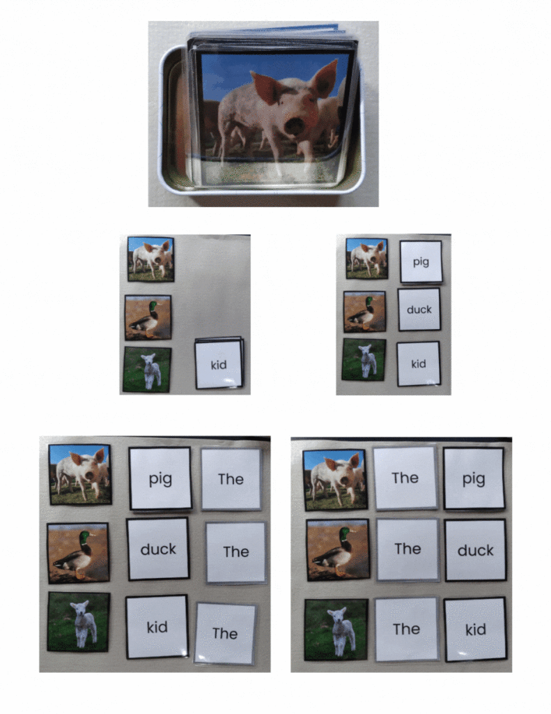 Phonetic Noun cards 3"x3" for labelling farm animals with real picture cards 3"x3"