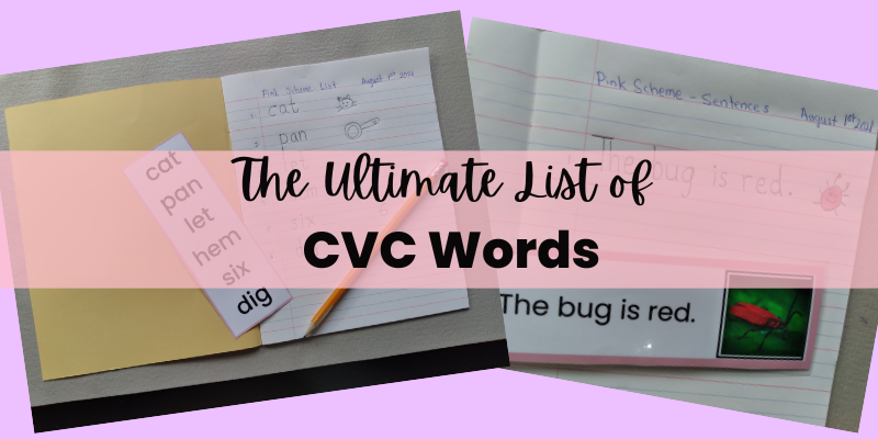 cvc words list